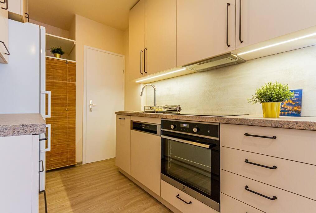 Roomy Apartment 80Sqm At City Center Free Parking Space, Ac & Balcony Budapeste Exterior foto
